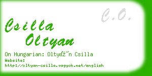 csilla oltyan business card